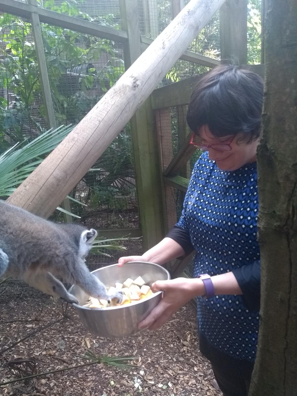 Rainbow Living Exeter Rainbow House news